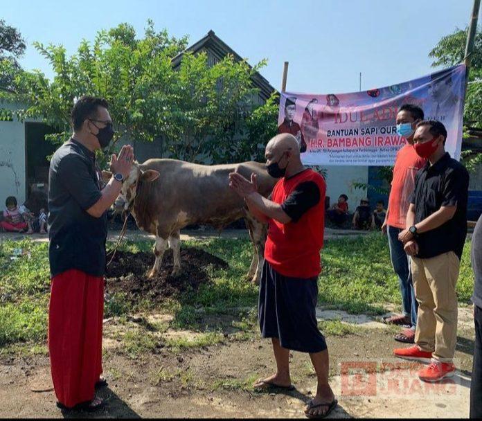 HR Bambang Irawan Serahkan Sapi Kurban Kepada Masyarakat Kalikabong