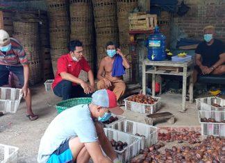 Harga Salak Pondoh di Desa Sipedang Anjlok, Hermanto: Perlu Adanya Perhatian Pemerintah