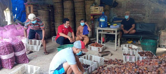 Harga Salak Pondoh di Desa Sipedang Anjlok, Hermanto Perlu Adanya Perhatian Pemerintah