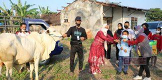 Idul Adha, Bibi Hastuti Sumbang Hewan Kurban ke SLB