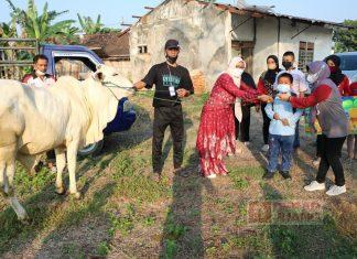 Idul Adha, Bibi Hastuti Sumbang Hewan Kurban ke SLB