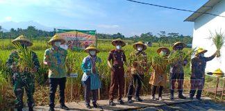 Kader Banteng Karanganyar Launching Program JASTANI