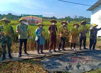 Kader Banteng Karanganyar Launching Program JASTANI