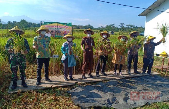 Kader Banteng Karanganyar Launching Program JASTANI