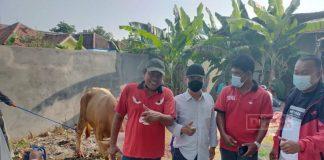 Ketua DPC PDI Perjuangan Demak Gelorakan Spirit Berkurban