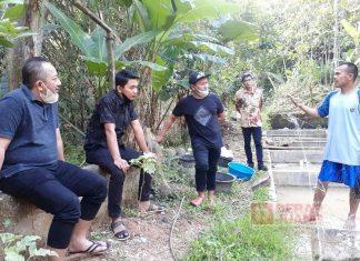 Masa Pandemi Covid-19, Rober Christanto Dukung Budidaya Ikan Koi