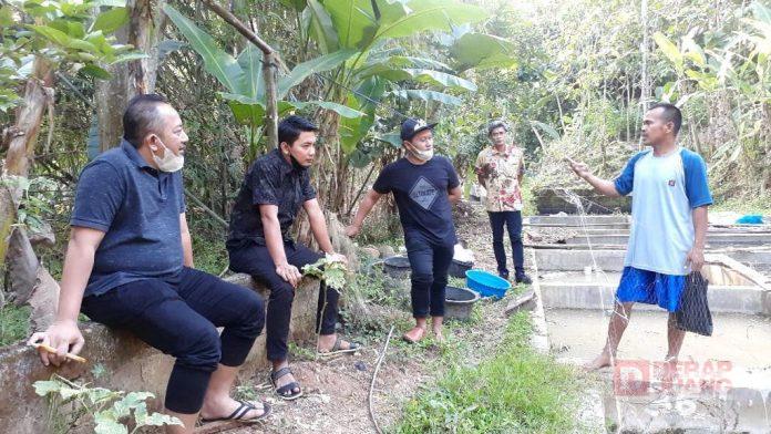 Masa Pandemi Covid-19, Rober Christanto Dukung Budidaya Ikan Koi