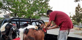 Masan: Berkurban, Wujud Solidaritas Kader