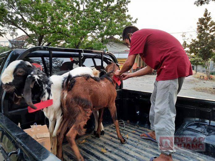 Masan; Berkurban, Wujud Solidaritas Kader