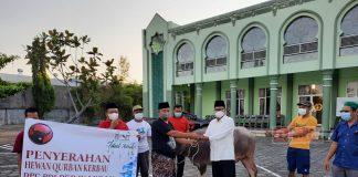 Momen Idul Adha, DPC PDI Perjuangan Kab. Kudus Sumbangkan Kerbau