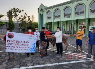 Momen Idul Adha, DPC PDI Perjuangan Kab. Kudus Sumbangkan Kerbau
