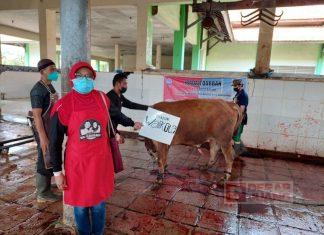 Momentum Idul Adha, DPC PDI Perjuangan Kota Semarang Bagikan Daging Kurban