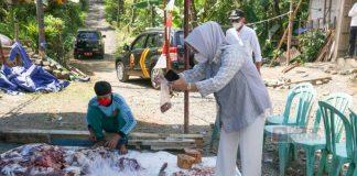 Pantau Proses Penyembelihan Hewan Kurban, Bupati Tiwi: Jangan Ada Kerumunan