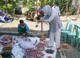 Pantau Proses Penyembelihan Hewan Kurban, Bupati Tiwi: Jangan Ada Kerumunan