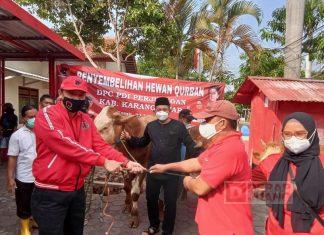 Perayaan Hari Raya Idul Adha 1442 H, PDI Perjuangan Karanganyar Terima Bantuan 3 Ekor Sapi