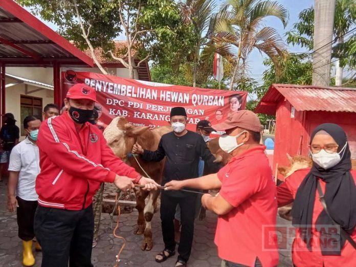 Perayaan Hari Raya Idul Adha 1442 H, PDI Perjuangan Karanganyar Terima Bantuan 3 Ekor Sapi