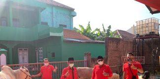 Rayakan Idul Adha, Andang Harap Beri Energi Positif