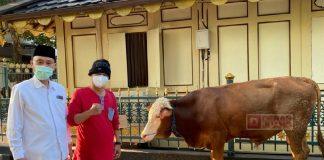 Salurkan Hewan Kurban ke MAD, Slamet Harap Beri Manfaat di Tengah Pandemi