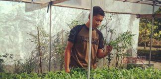 Semangat Calon Kader Komunitas Juang Banyumas Tekuni Budidaya Sayuran Hidroponik