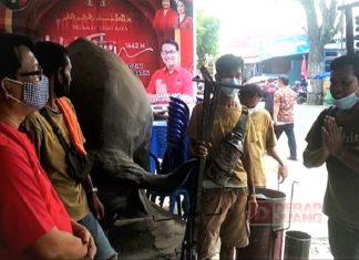Seniman Jalanan Hingga Ojol Ikut Vaksinasi di DPC PDI Perjuangan Kebumen