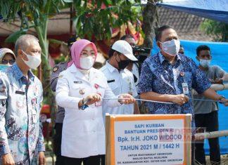 Sri Sumarni Serahkan Hewan Kurban dari Presiden Jokowi