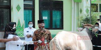 Tinjau Penyembelihan Hewan Kurban, Sri Mulyani: Panitia Kurban Tetap Disiplin Prokes dan Jaga Jarak