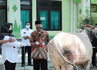 Tinjau Penyembelihan Hewan Kurban, Sri Mulyani: Panitia Kurban Tetap Disiplin Prokes dan Jaga Jarak