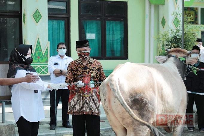 Tinjau Penyembelihan Hewan Kurban, Sri Mulyani Panitia Kurban Tetap Disiplin Prokes dan Jaga Jarak(2)
