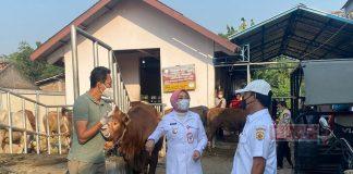 Wujud Kepedulian, Sri Sumarni Berikan Hewan Kurban kepada Pasien Isolasi