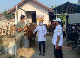 Wujud Kepedulian, Sri Sumarni Berikan Hewan Kurban kepada Pasien Isolasi