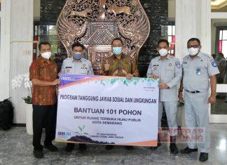 101 Pohon Tabebuya Siap Ditanam di Kota Semarang