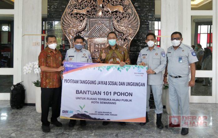 101 Pohon Tabebuya Siap Ditanam di Kota Semarang