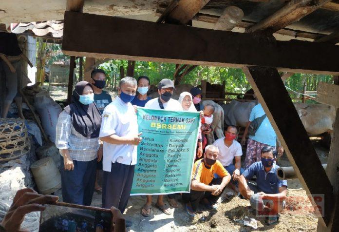 Bentuk Kepedulian Kader Partai, Heru Santosa Beri Bantuan pada Kelompok Ternak