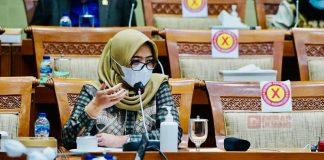 Dewi Aryani: Bumil Perlu Vaksin untuk Memproteksi Janin