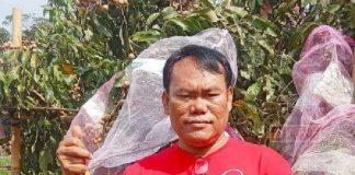 Ketua PAC Puring Promosi Agrowisata Kebun Klengkeng