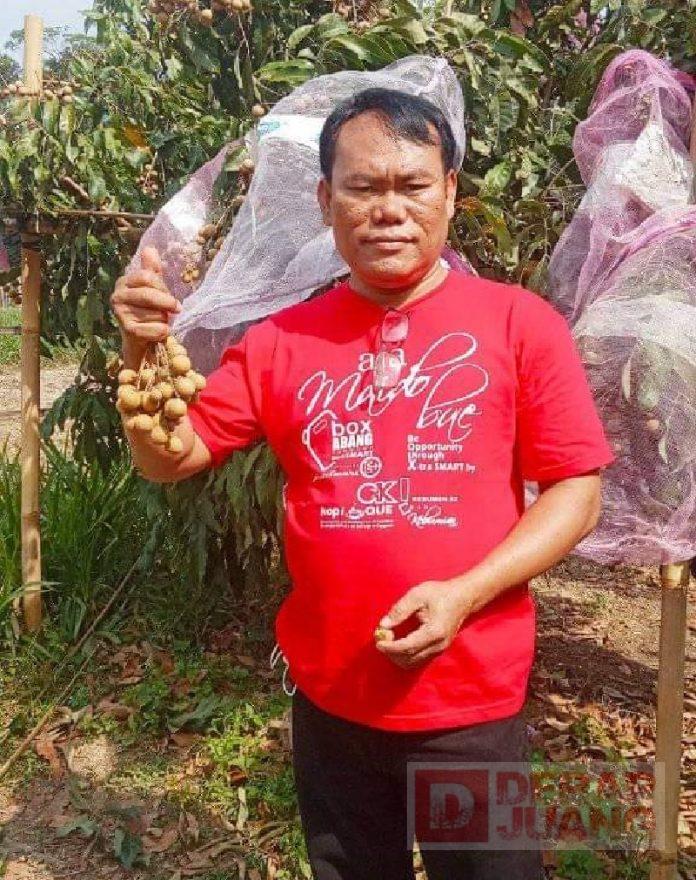 Ketua PAC Puring Promosi Agrowisata Kebun Klengkeng