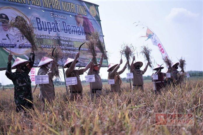 Komitmen Mbak Eisti Terus Upayakan Kesejahteraan Petani