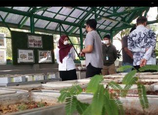 Mbak Eisti: Pijakan Penting Bangkitkan Politik Hijau