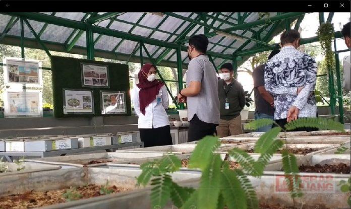 Mbak Eisti; Pijakan Penting Bangkitkan Politik Hijau