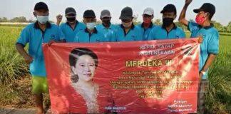 Puan Maharani Berikan Aspirasi Alsintan Kepada Gapoktan di Klaten