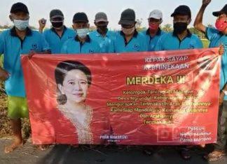 Puan Maharani Berikan Aspirasi Alsintan Kepada Gapoktan di Klaten