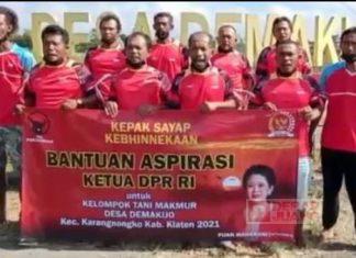 Tunjang Kelancaran Aktivitas Bertani, Mbak Puan Berikan Bantuan Alsintan di Desa Demakijo