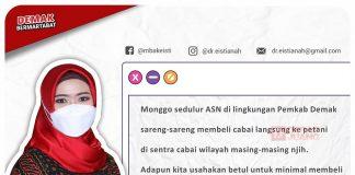 ASN Beli Cabai, Langkah Konkret Selamatkan Petani Cabai Demak