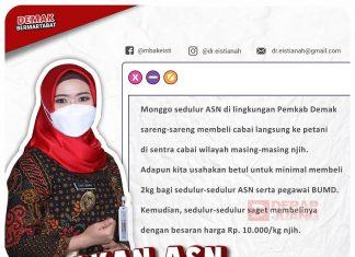 ASN Beli Cabai, Langkah Konkret Selamatkan Petani Cabai Demak
