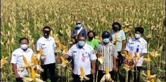 Bambang Ismoyo Pastikan Suplai Jagung di Grobogan Aman