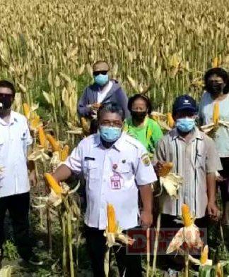 Bambang Ismoyo Pastikan Suplai Jagung di Grobogan Aman
