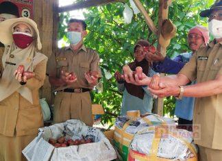 Bentuk Kecintaan Agus Siswanto pada Agrowisata Jambu Citra