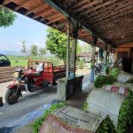 Kader Muda Kendal Bantu Sediakan Alat Transportasi Bagi Petani (2)