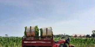 Kader Juang Kendal Bantu Sediakan Alat Transportasi Bagi Petani