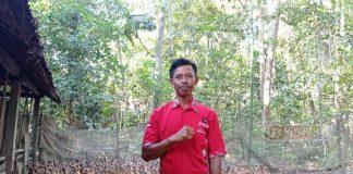 Kembangkan Ternak Bebek, Ini Cerita dan Harapan Ketua PAC PDI Perjuangan Butuh